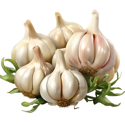 Dehydrated Garlic Products