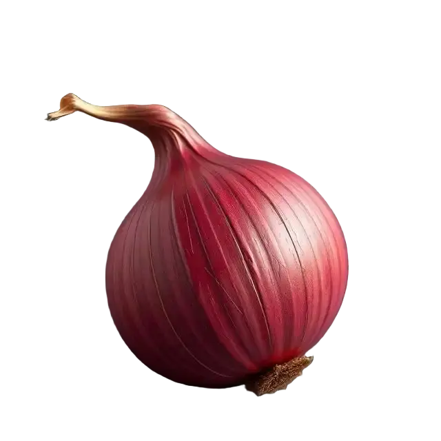 Dehydrated Onion Products